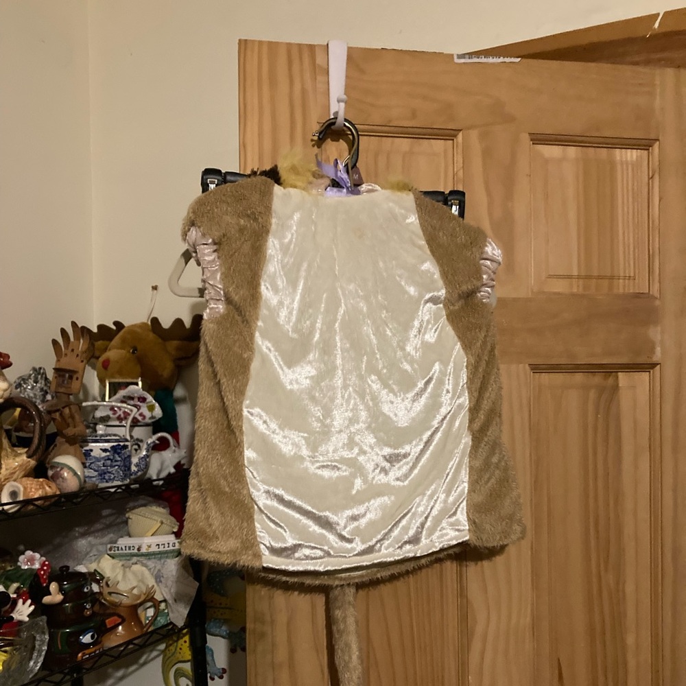 Celebration Creation Lion slip on costume